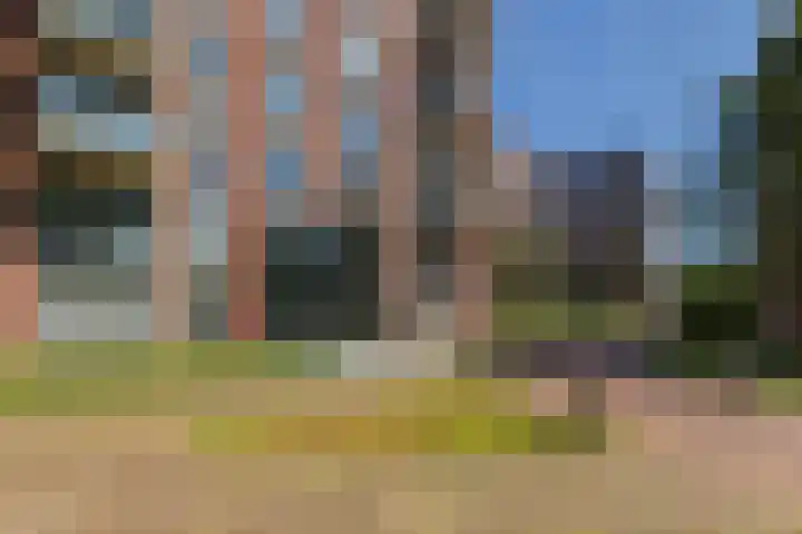 Dankmeijerpad 169 Leiden thumbnail 4