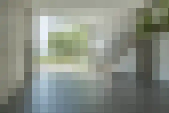 Dankmeijerpad 169 Leiden thumbnail 5