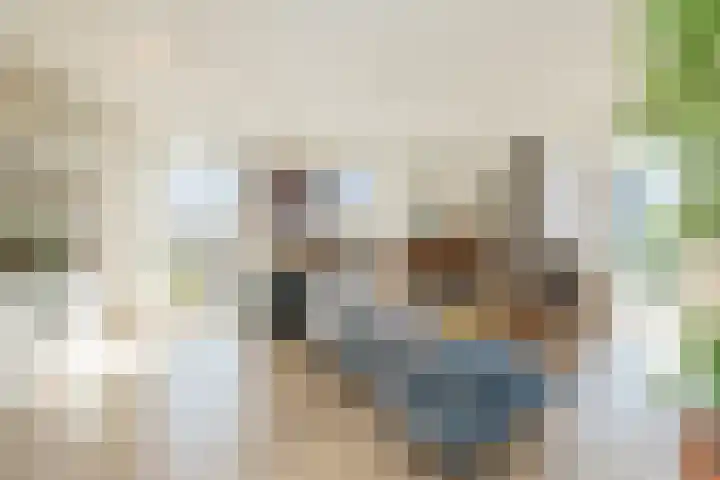 Dankmeijerpad 169 Leiden thumbnail 9