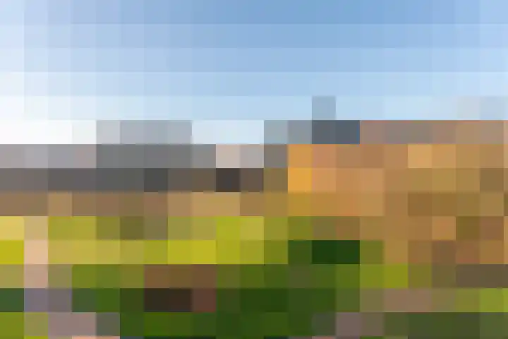 Dankmeijerpad 177 Leiden thumbnail 10