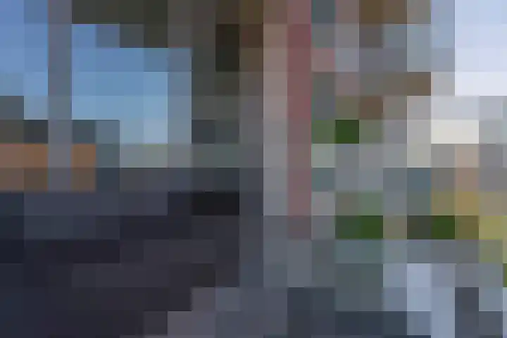 Dankmeijerpad 177 Leiden thumbnail 11