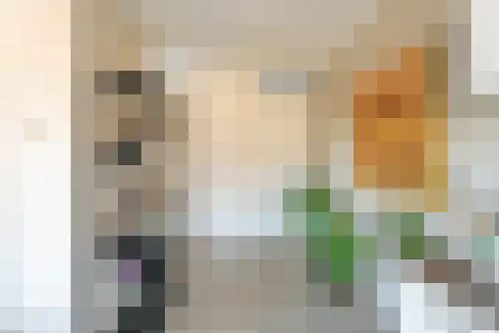 Dankmeijerpad 177 Leiden thumbnail 17