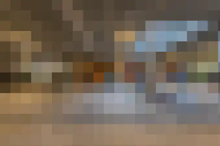 Dankmeijerpad 177 Leiden thumbnail 22