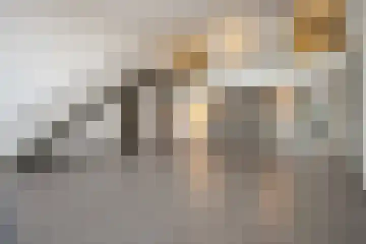 Dankmeijerpad 177 Leiden thumbnail 24