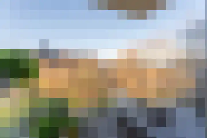 Dankmeijerpad 177 Leiden thumbnail 9