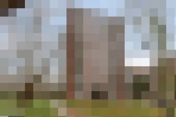 Dankmeijerpad 255 in Leiden