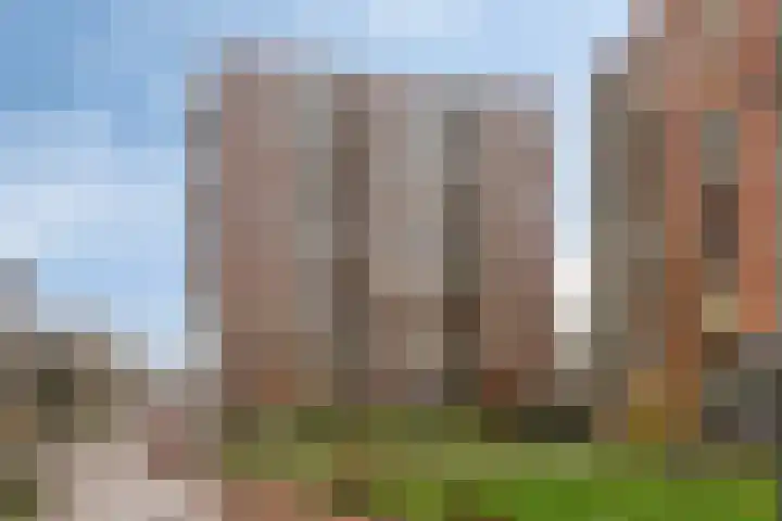 Dankmeijerpad 255 Leiden thumbnail 10