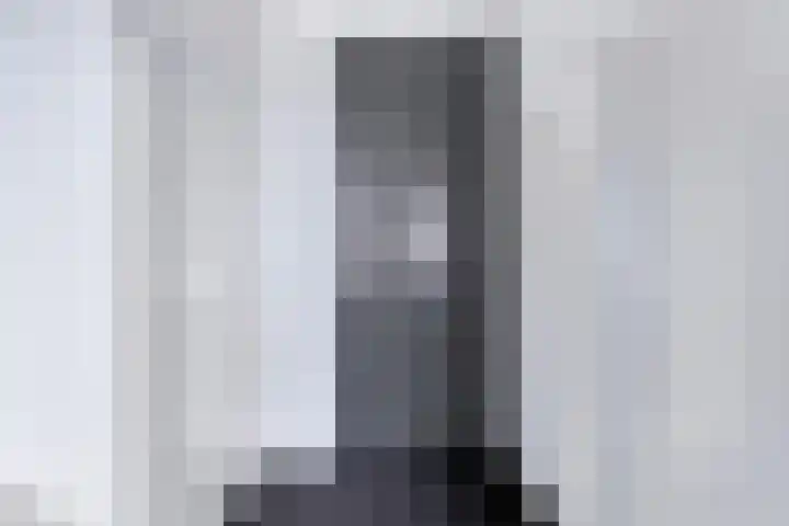 Dankmeijerpad 255 Leiden thumbnail 12