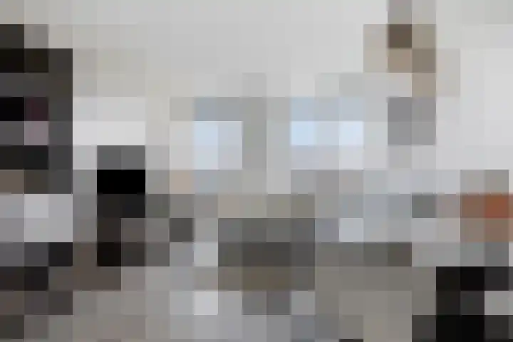 Dankmeijerpad 255 Leiden thumbnail 15