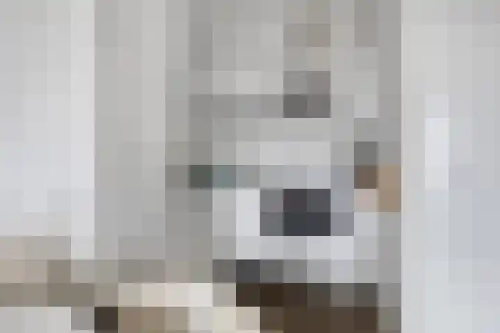 Dankmeijerpad 255 Leiden thumbnail 17
