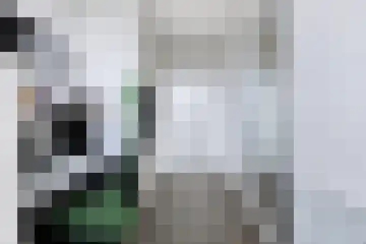 Dankmeijerpad 255 Leiden thumbnail 24