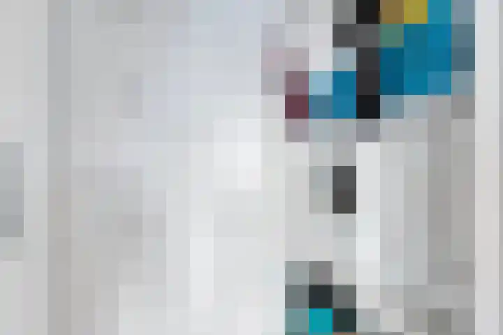 Dankmeijerpad 255 Leiden thumbnail 28