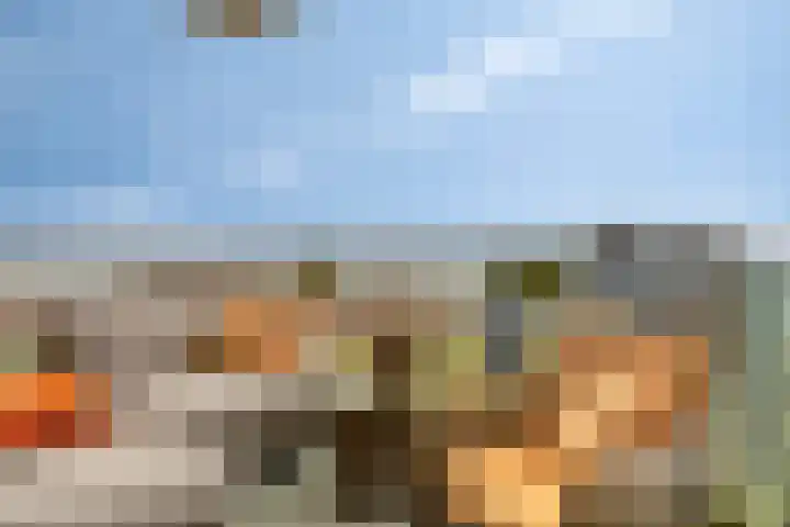 Dankmeijerpad 255 Leiden thumbnail 29