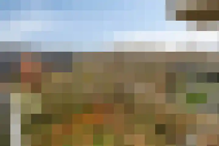 Dankmeijerpad 255 Leiden thumbnail 30