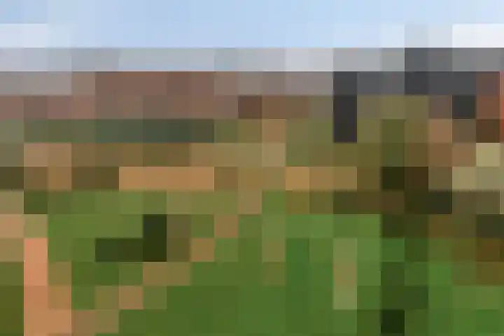 Dankmeijerpad 255 Leiden thumbnail 31