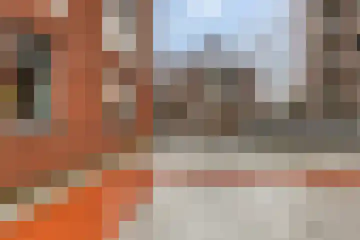 Dankmeijerpad 255 Leiden thumbnail 32