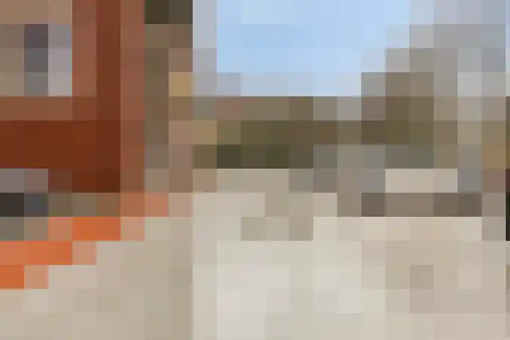 Dankmeijerpad 255 Leiden thumbnail 33