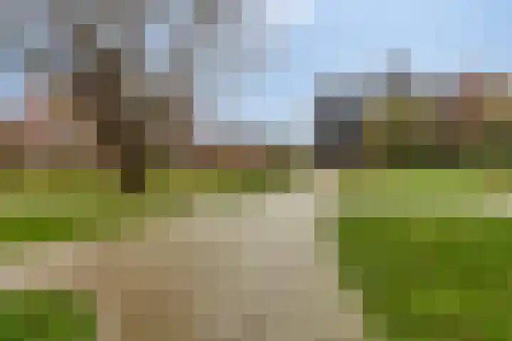 Dankmeijerpad 255 Leiden thumbnail 34