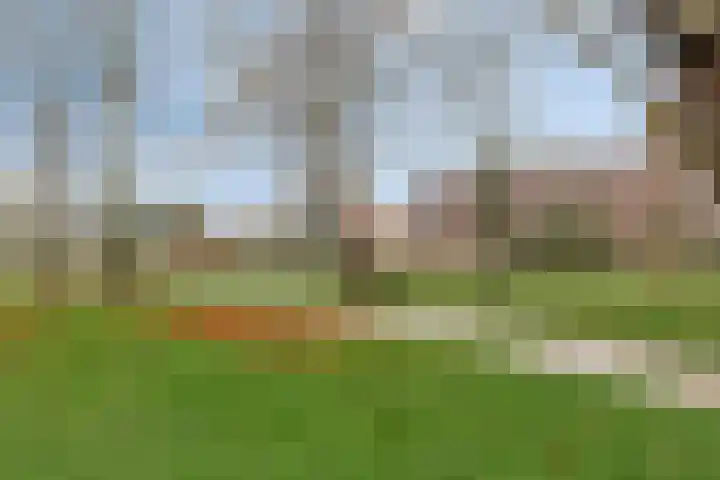 Dankmeijerpad 255 Leiden thumbnail 35