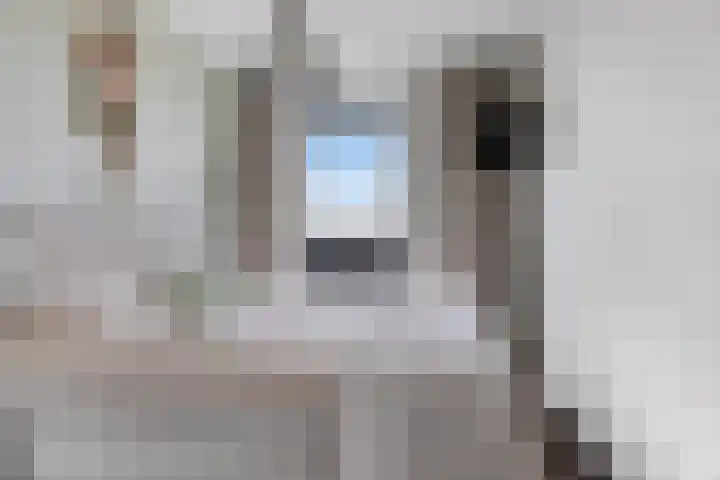 Dankmeijerpad 255 Leiden thumbnail 5