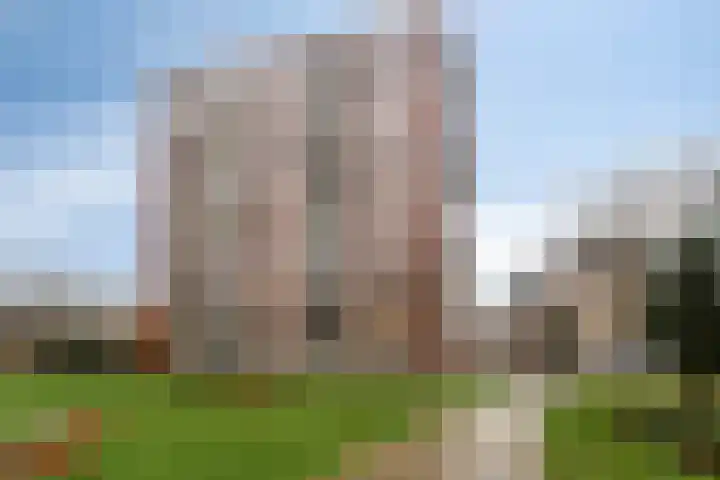 Dankmeijerpad 255 Leiden thumbnail 8