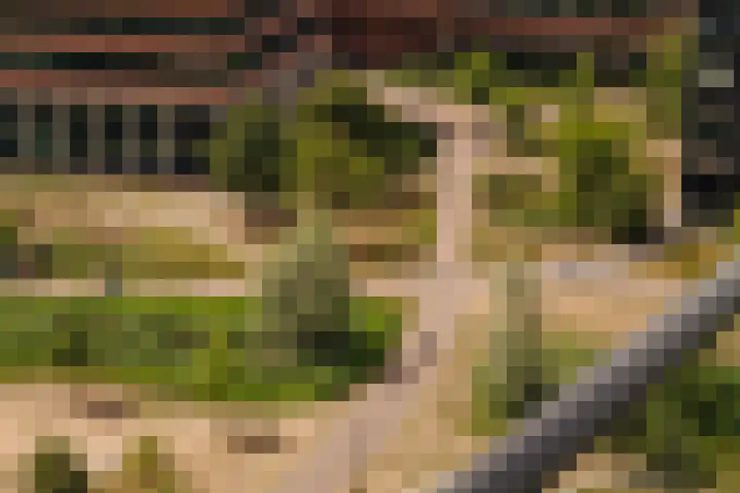Dankmeijerpad 273 Leiden thumbnail 10