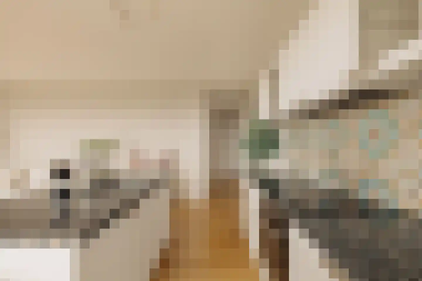 Dankmeijerpad 273 Leiden thumbnail 11