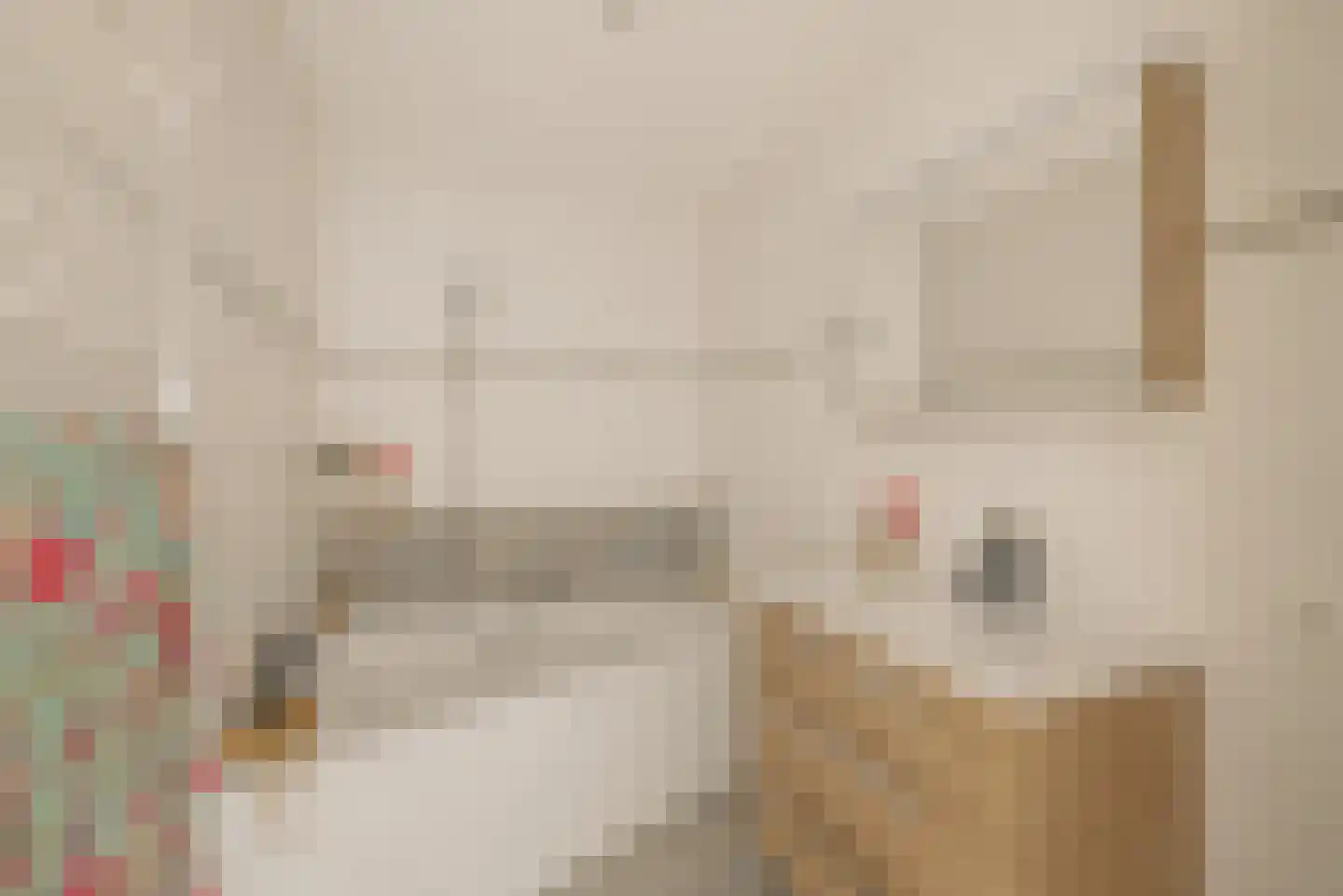 Dankmeijerpad 273 Leiden thumbnail 15