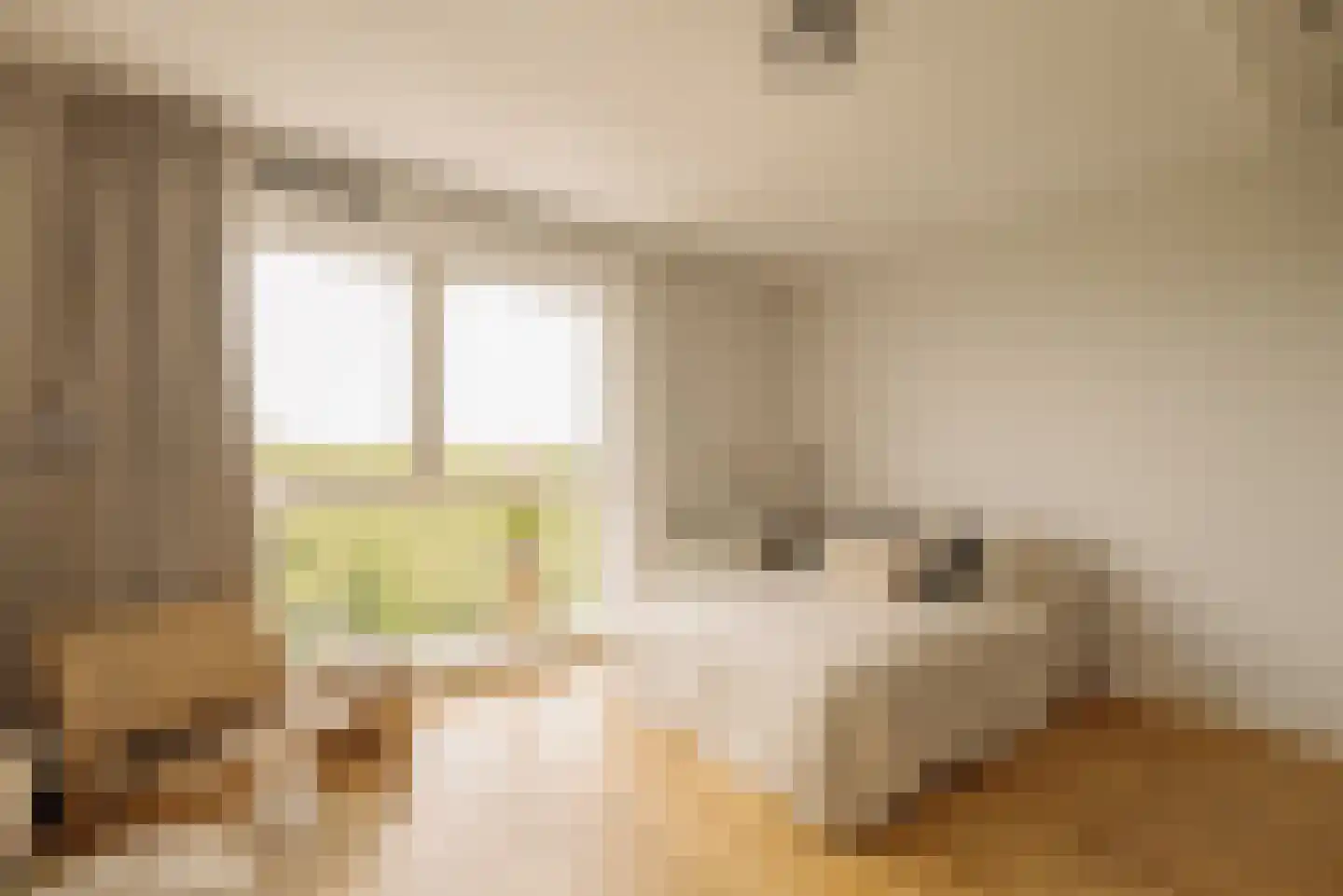 Dankmeijerpad 273 Leiden thumbnail 16