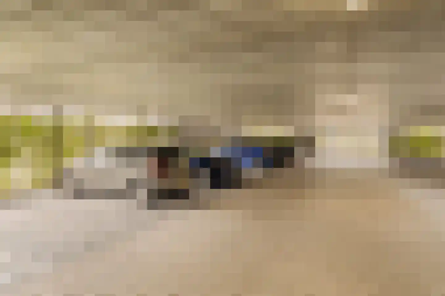 Dankmeijerpad 273 Leiden thumbnail 22