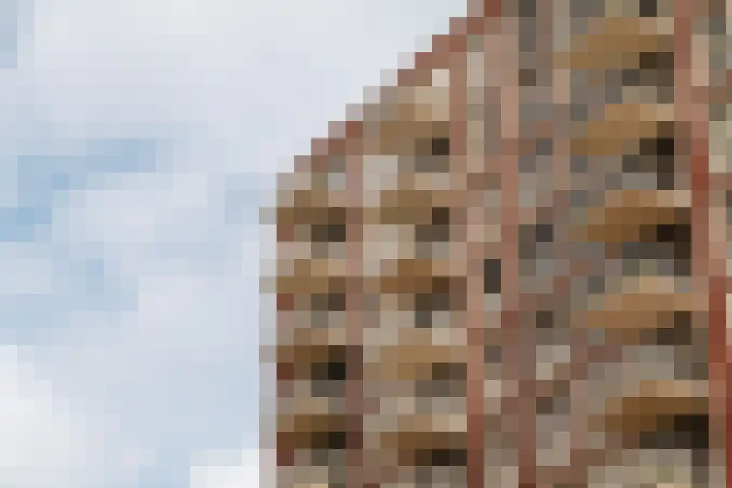 Dankmeijerpad 273 Leiden thumbnail 25