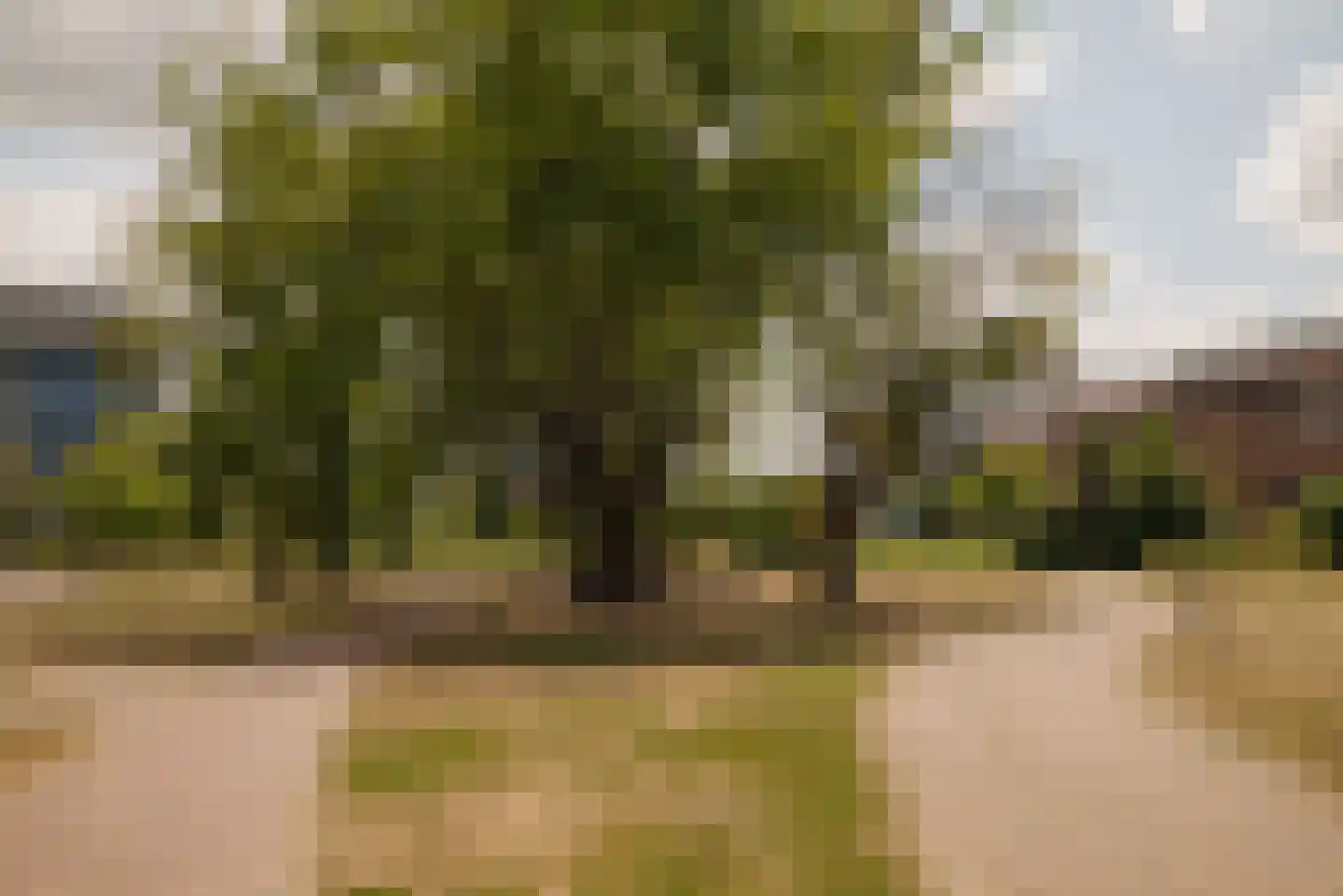 Dankmeijerpad 273 Leiden thumbnail 26