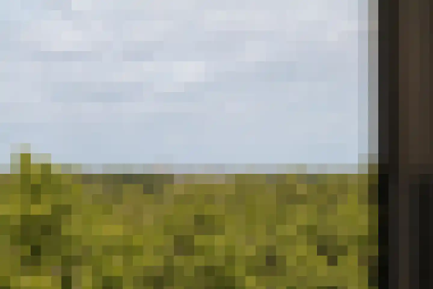 Dankmeijerpad 273 Leiden thumbnail 4