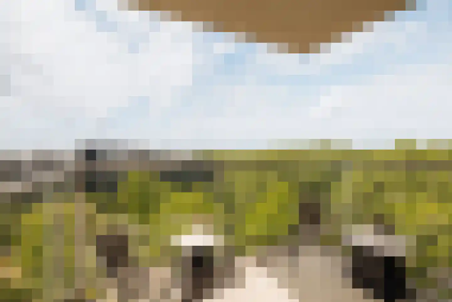 Dankmeijerpad 273 Leiden thumbnail 8