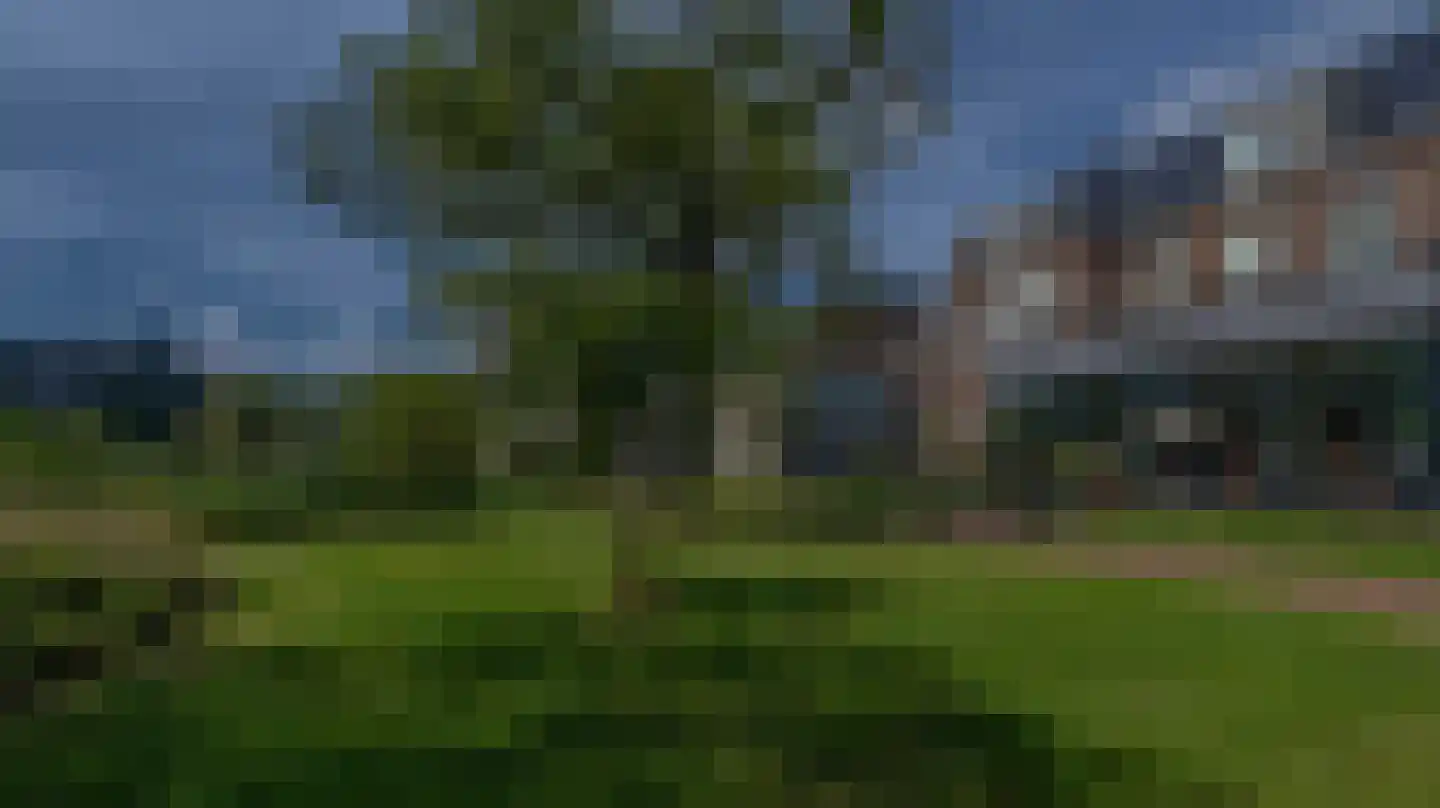 Dankmeijerpad 71 Leiden thumbnail 15
