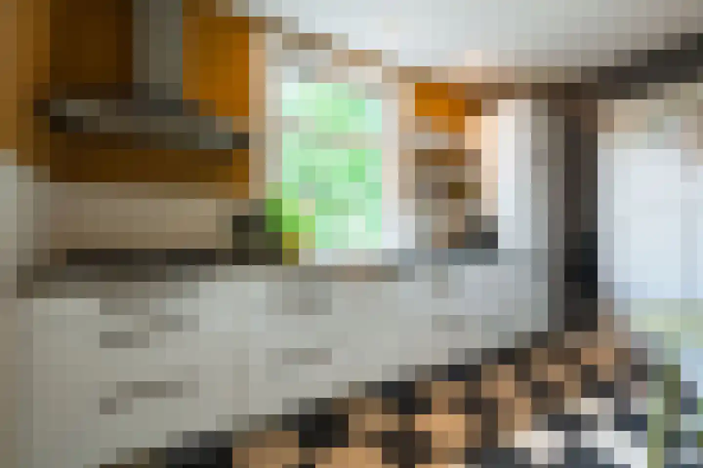 Dankmeijerweg 3 Renkum thumbnail 19