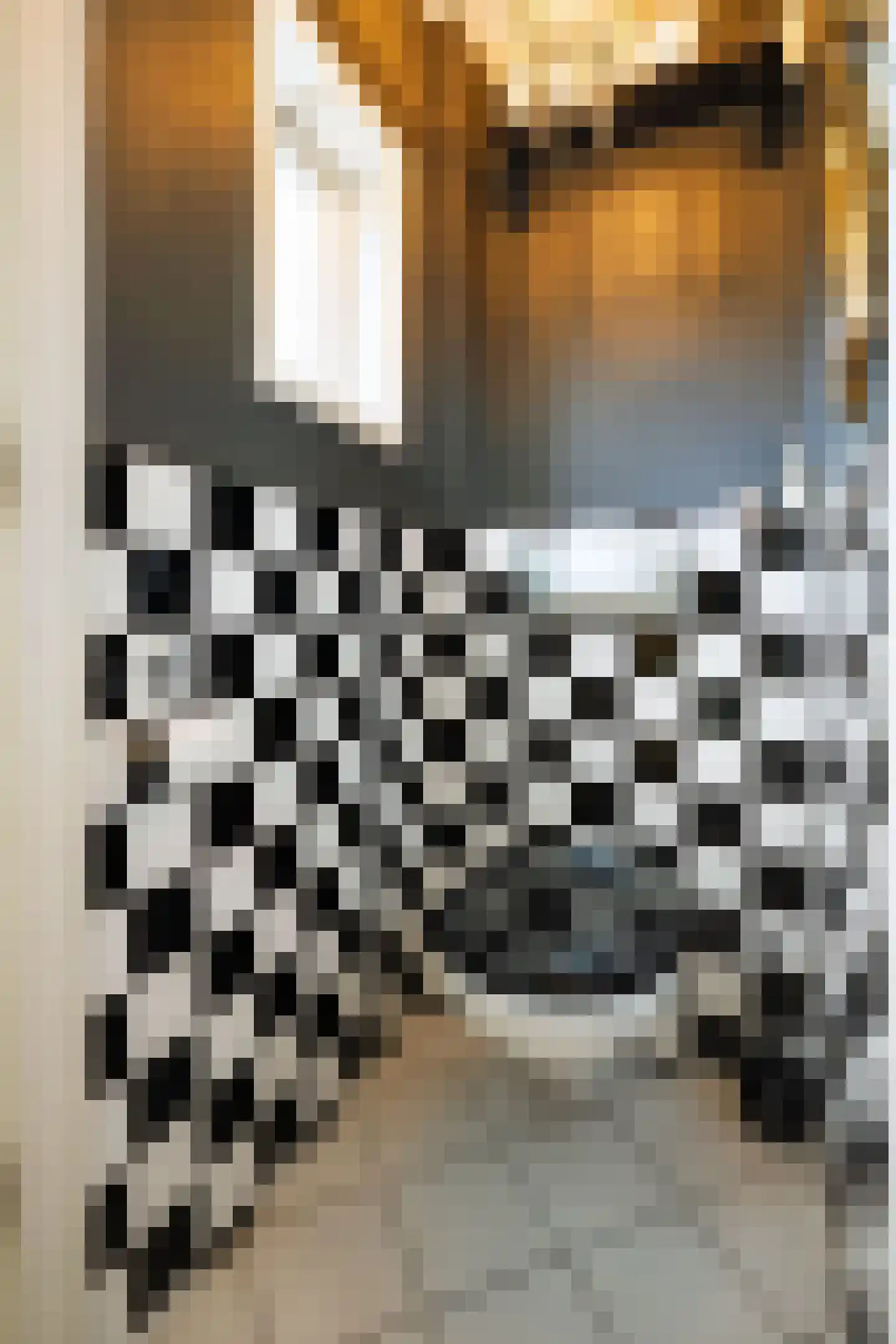 Dankmeijerweg 3 Renkum thumbnail 22