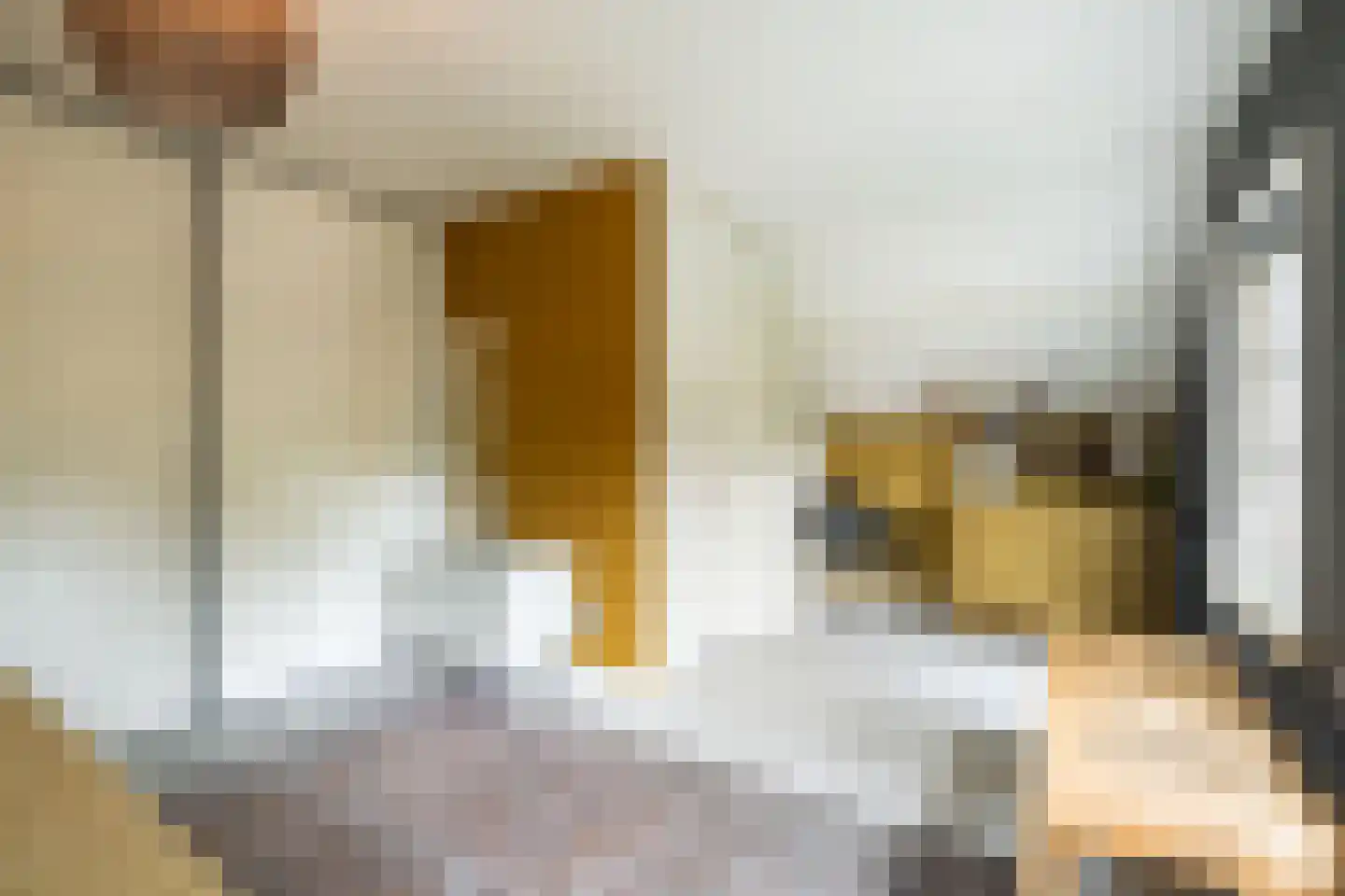 Dankmeijerweg 3 Renkum thumbnail 25