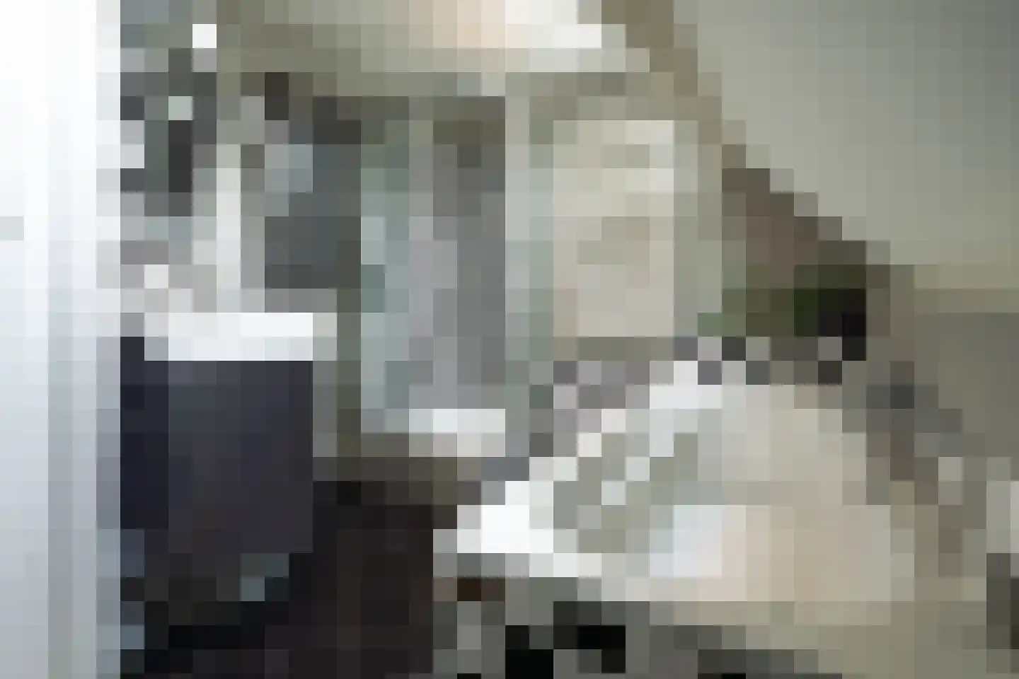 Dankmeijerweg 3 Renkum thumbnail 30