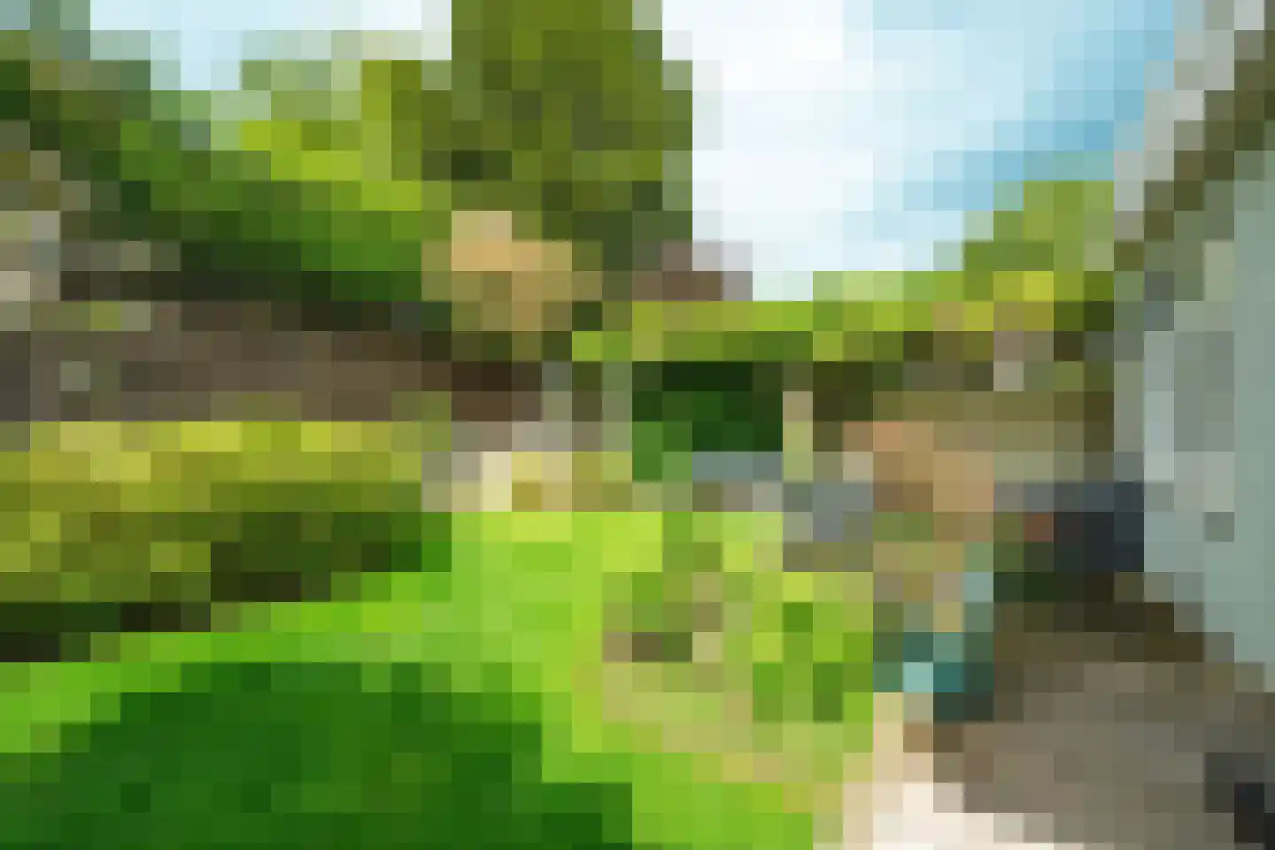 Dankmeijerweg 3 Renkum thumbnail 33