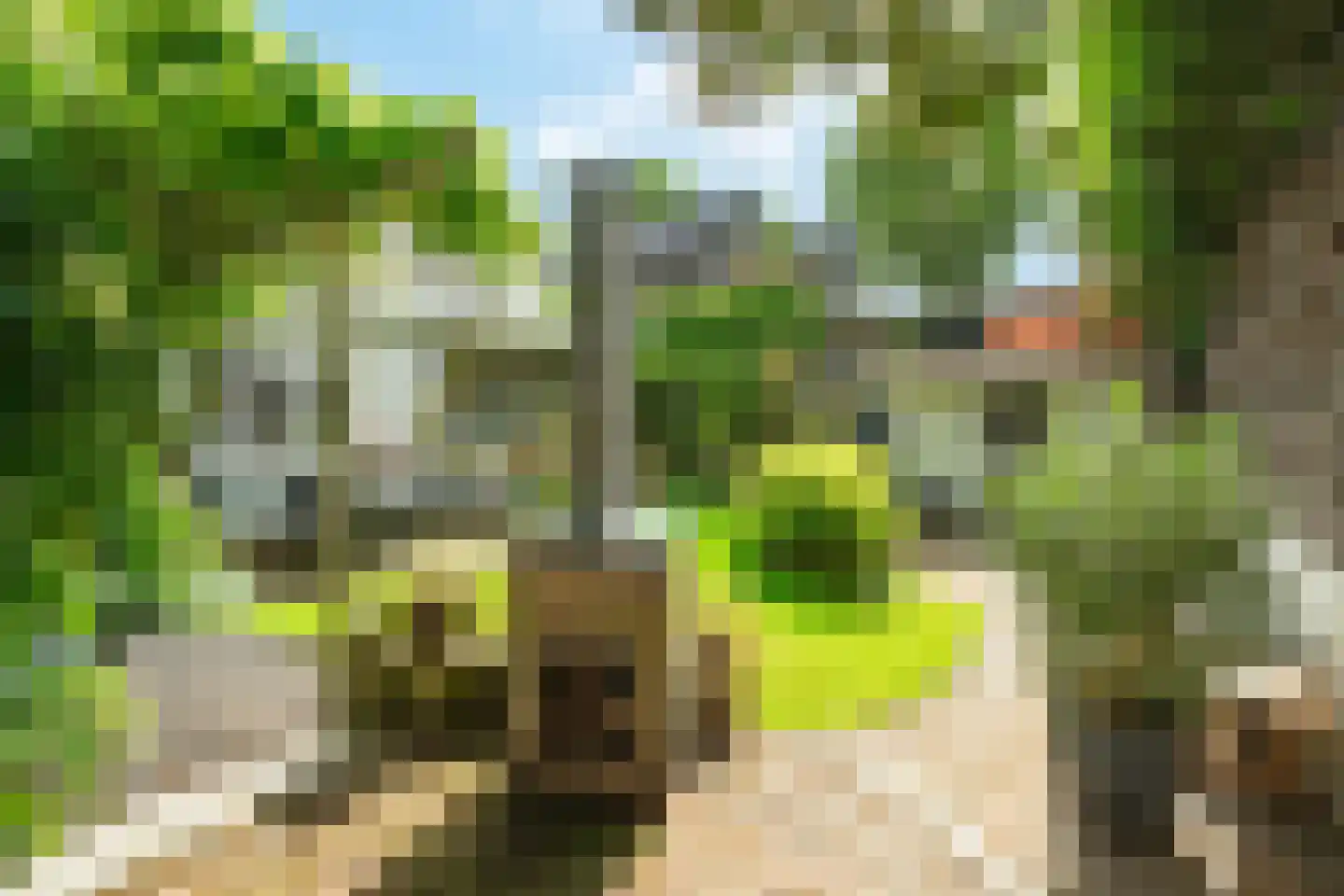 Dankmeijerweg 3 Renkum thumbnail 35