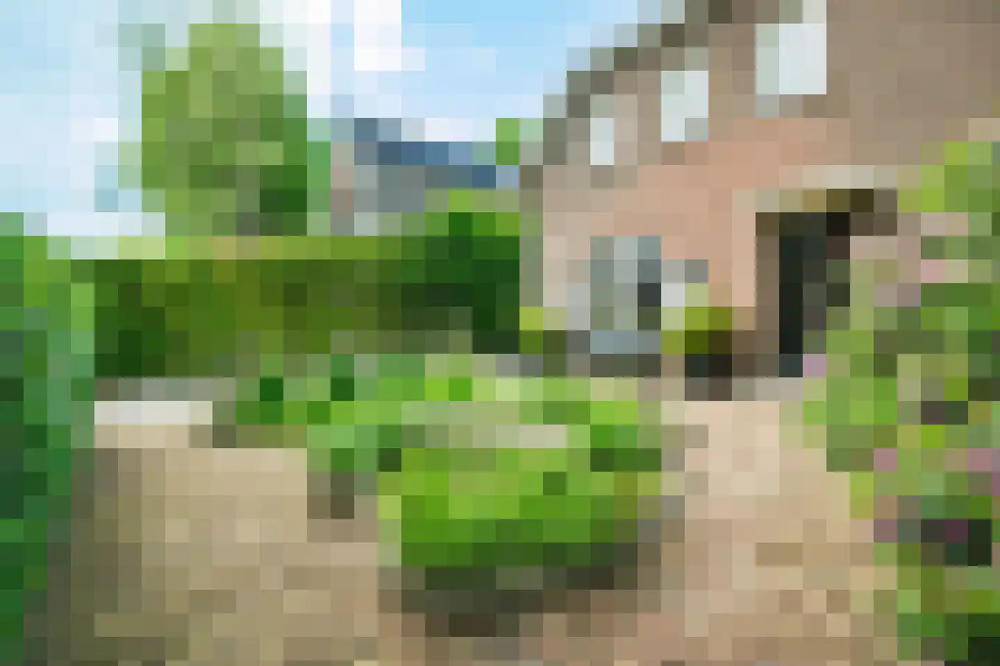 Dankmeijerweg 3 Renkum thumbnail 4