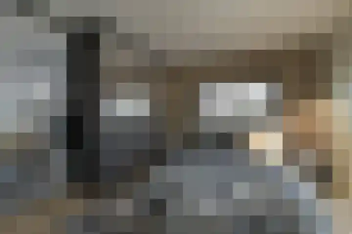 Dannemeerweg 2 Schildwolde thumbnail 14