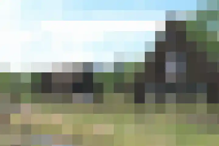 Dannemeerweg 2 Schildwolde thumbnail 18