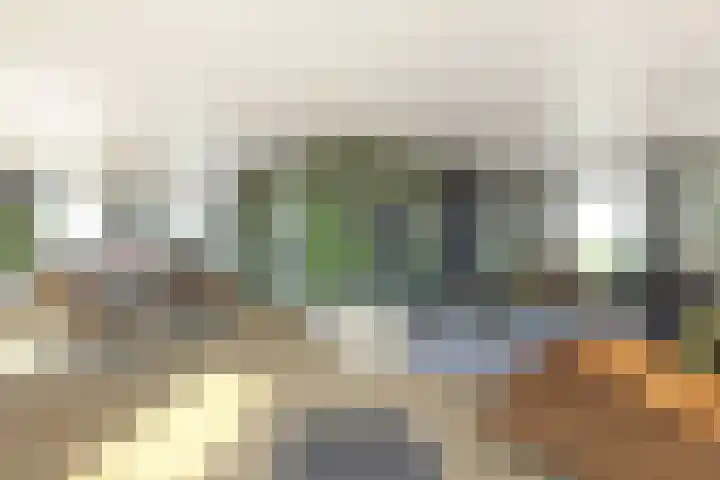 Dannemeerweg 2 Schildwolde thumbnail 4
