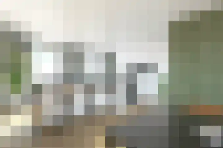 Dannemeerweg 2 Schildwolde thumbnail 5