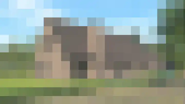 Dannemeerweg 8 Schildwolde thumbnail 11