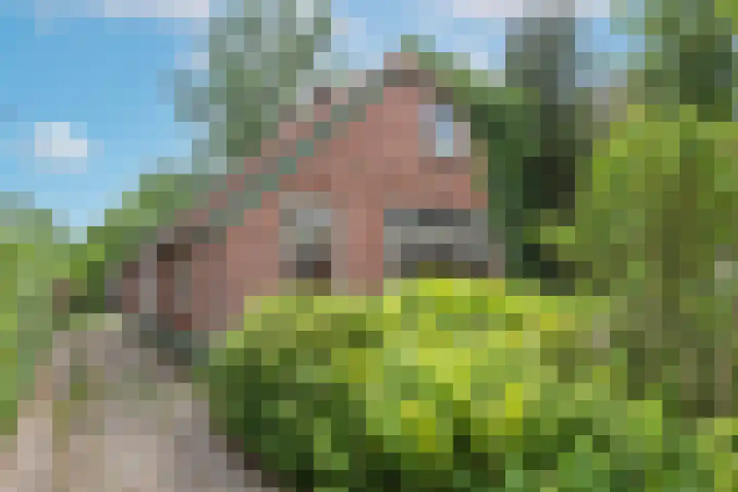 Dannenberg 13 Rijssen