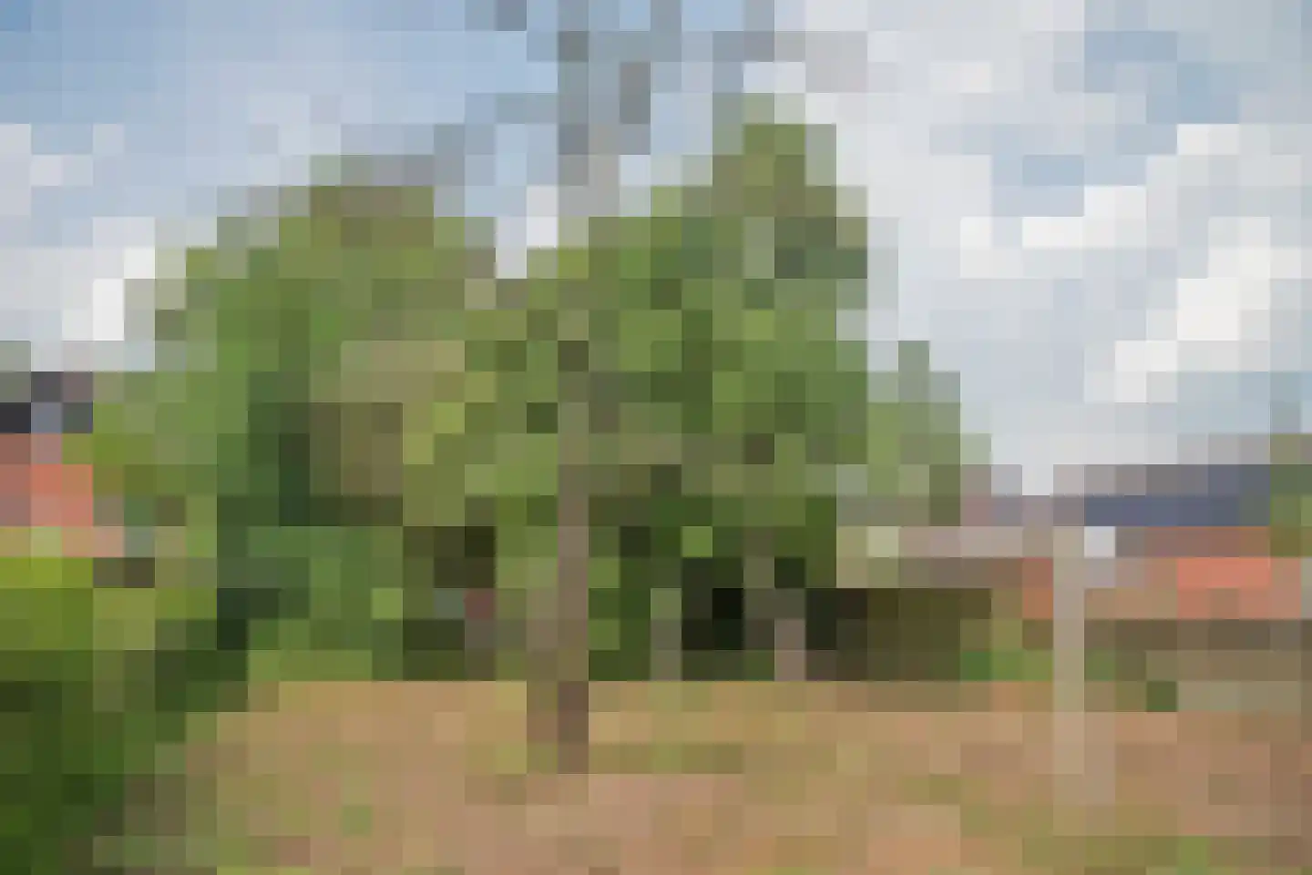 Dannenberg 13 Rijssen thumbnail 11