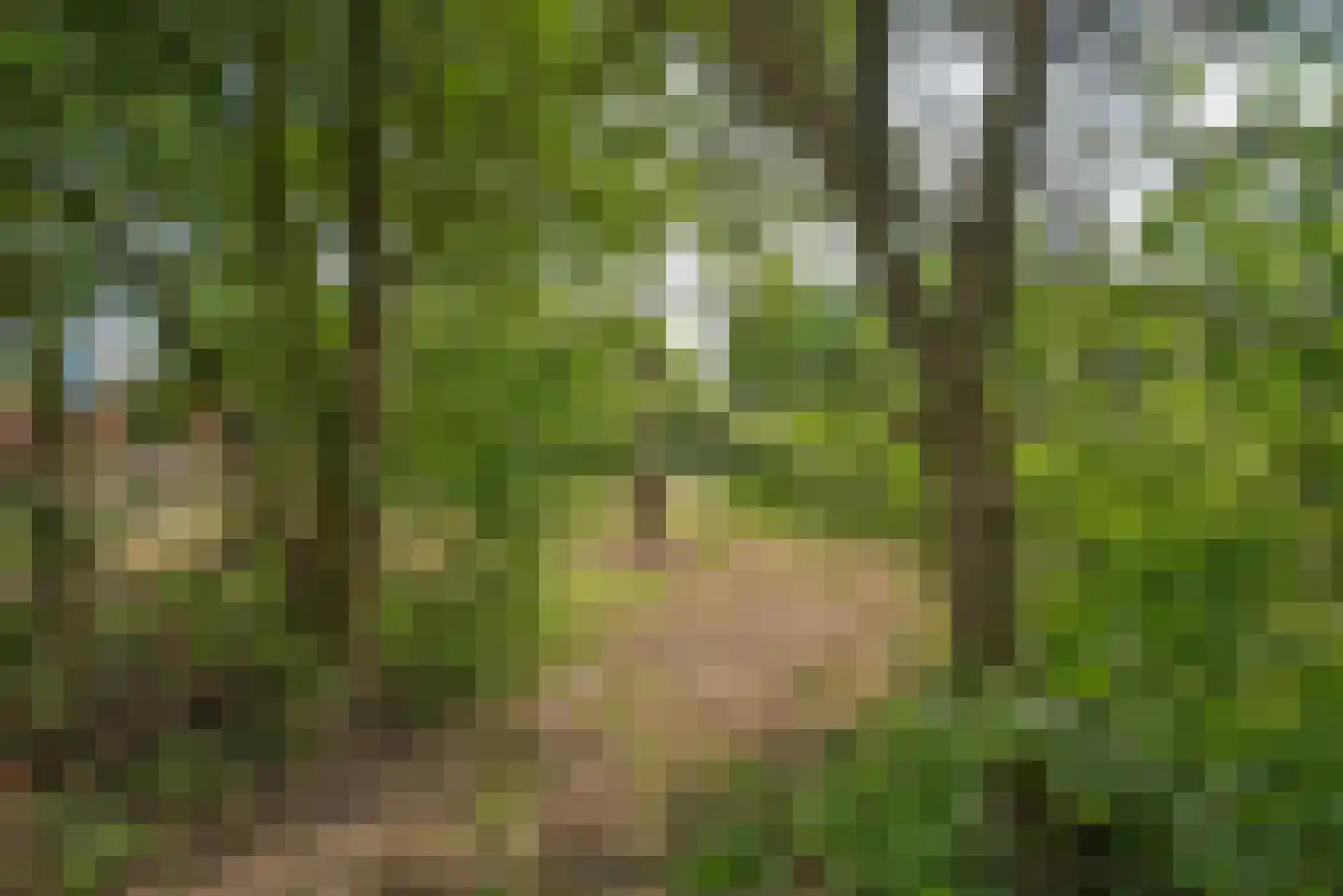 Dannenberg 13 Rijssen thumbnail 13